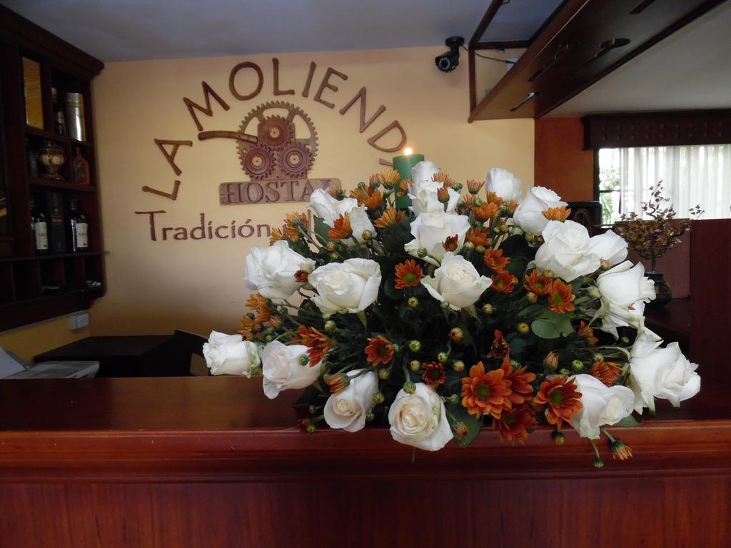 Hostal La Molienda Puyo Exteriör bild